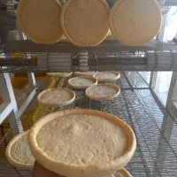 خمیر نیمه آماده پیتزا(لبه دار)|خوردنی و آشامیدنی|مشهد, شهرک صنعتی مشهد|دیوار