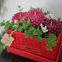 باکس گل شمع و انواع گیفت