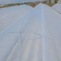 نصب گلخانه|خدمات پیشه و مهارت|گنبد کاووس, |دیوار