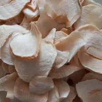 موسیر خشک اعلا و تازه