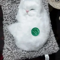 گربه موزیکال