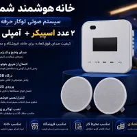 پکیج سیستم صوتی خانگی ، آمپلی‌فایر اسپیکر ، سقفی