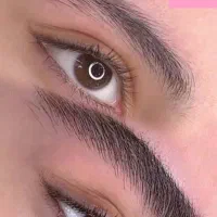 میکرو بلیدینگ ابرو و خط چشم و شیدینگ لب|خدمات آرایشگری و زیبایی|مشهد, شریف|دیوار