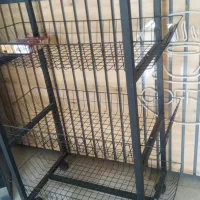 استند کیک و چیپس
