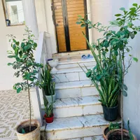 اجاره روزانه منزل مبله ویلایی