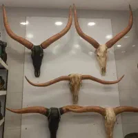 دیوارکوب شاخ