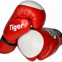 دستکش و کفش بوکس|تجهیزات ورزشی|نی‌ریز, |دیوار