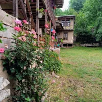 اجاره ویلا سوییت بوم‌گردی اتاق شموشک
