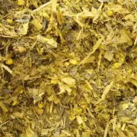 سیلاژ ذرت با کیفیت