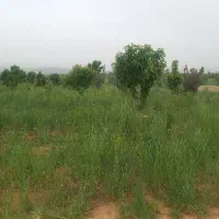 باغ هزار متری معاوضه با خودرو