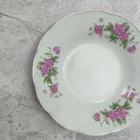 بشقاب گل سرخ