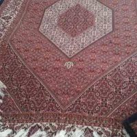 فرش دستبافت نساجی ۶متری|فرش|ایجرود, |دیوار