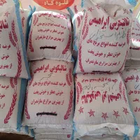 برنج ایرانی فجر و طارم استخوانی