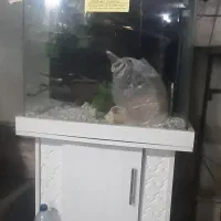 آکواریوم شیشه خم معاوضه