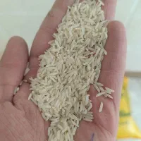 برنج ایرانی|خوردنی و آشامیدنی|کاشان, لتحر|دیوار