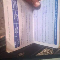 سگ پا کوتا (شیوا|سگ|بهارستان, |دیوار