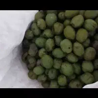 گردو