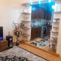 فقط با ۵۵۰ میلیون خانه دارشو