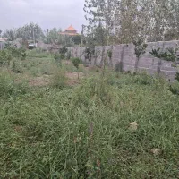 فروش زمین مسکونی ۶۲۰متر جاده کلدره رضامحله مرکزی|فروش زمین و ملک کلنگی|رودسر, |دیوار