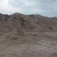 کاه نیشکر|لوازم جانبی حیوانات|خرم‌آباد, |دیوار