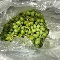 ابغوره و ابلیمو تازه سفارش سبزی|خوردنی و آشامیدنی|قرچک, پویینک|دیوار