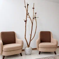 درخت،درختچه تزیئنی و پرنده