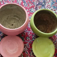 گلدان سفالی سایز بزرگ|گل و گیاه طبیعی|کرمان, |دیوار