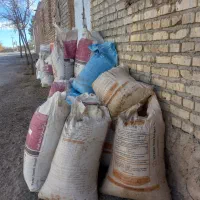 کود گوسفندی|گل و گیاه طبیعی|بیرجند, |دیوار