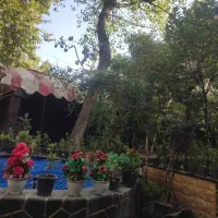 استخدام کارگر ساده