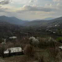 مالم گرک به 400تمن رهن