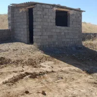 فروش زمین کشاورزی باغی ۸۰۰۰ متر