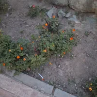 زمین-مسکونی-شهرک-راه-آهن