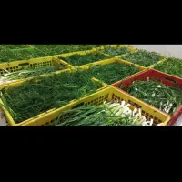 سبزی پاک کنی