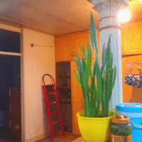 خانه ۷۰ متری، تک برگ ، شوفاژ، موکت ،انباری