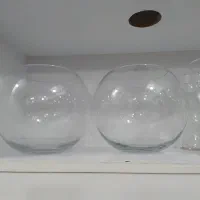 تنگ و گلدان شیشه ای در سایز های مختلف