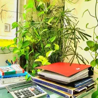 جذب کارآموز حسابدار خانم، آموزش کاربردی حین پروژه