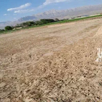 زمین  کشاورزی سه بر برای باغ