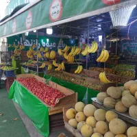 به تعدادی کارگر زن و مرد نیازمندیم