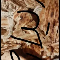 نان خشک ضایعات