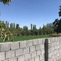 زمین مسکونی فروشی