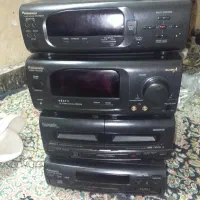 ظبط