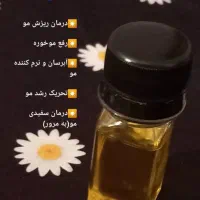 کفش|کیف، کفش، کمربند|دوگنبدان, |دیوار