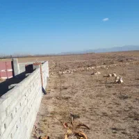 زمین باغ معاوضه هم میکنم با ماشین|فروش زمین و ملک کلنگی|نمین, |دیوار