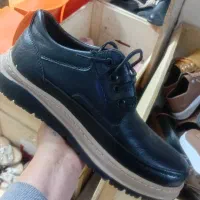 نبوک های اصلی|کیف، کفش، کمربند|سبزوار, امیر کبیر|دیوار