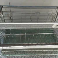قفس مرغ تخم گذار شیبدار