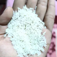 برنج فجر سوزنی|عمده‌فروشی|آزادشهر, |دیوار