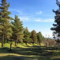 تور یک روزه پارک جنگلی شیان