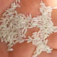 برنج عنبر بو . عمده .خرده