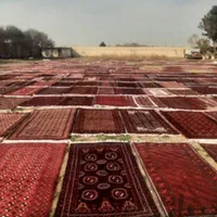 قالیشویی مبل شویی «همشهری»در مشهد تضمینی قالی شویی|خدمات نظافت|مشهد, هدایت|دیوار