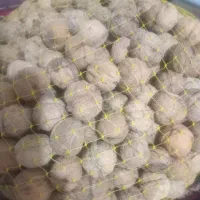 گردوی گوغر فروشی|خوردنی و آشامیدنی|کرمان, |دیوار